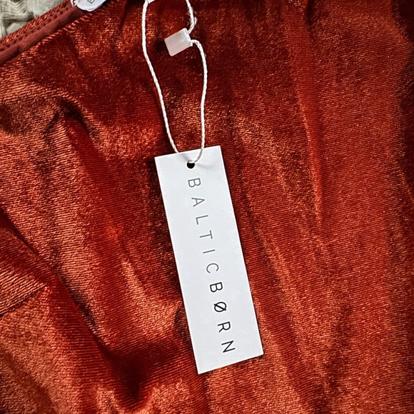 Baltic Born Tatiana Velvet One Shoulder Dress - Rust - Picture 3 of 5